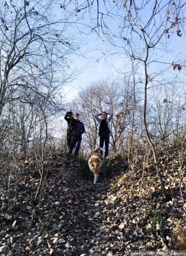 Может знает лес высоту Небес🌤️