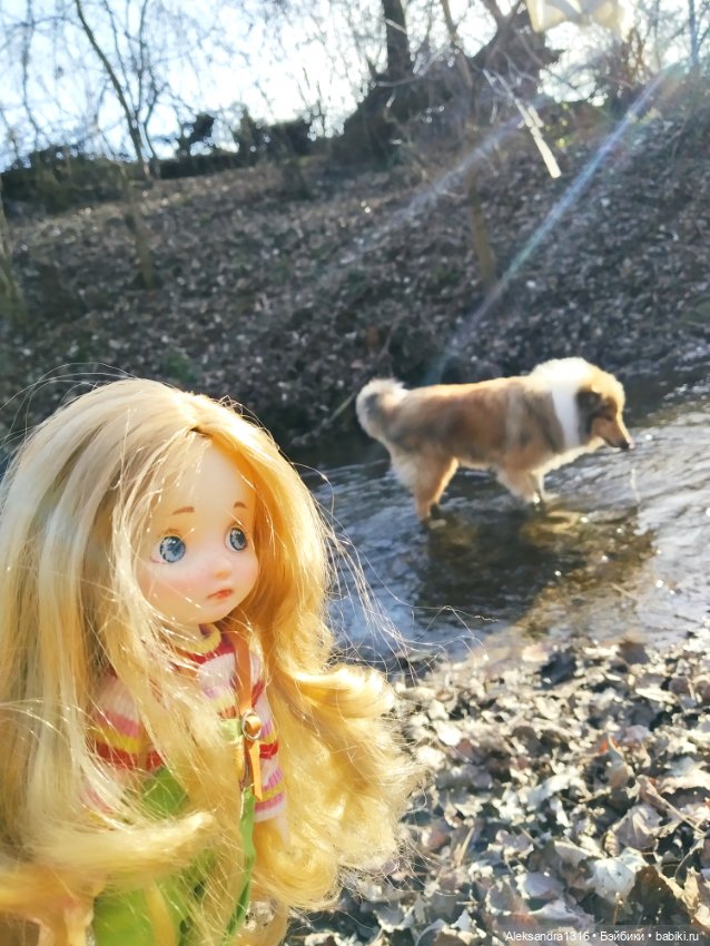 Может знает лес высоту Небес🌤️