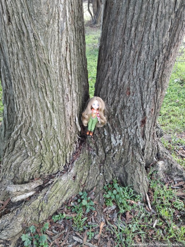 Может знает лес высоту Небес🌤️