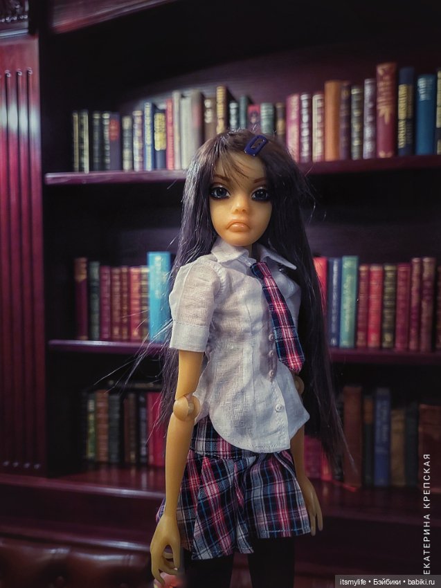 В библиотеке школы Миллвер Оакс (фото 6)