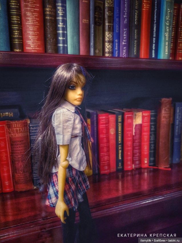 В библиотеке школы Миллвер Оакс (фото 5)