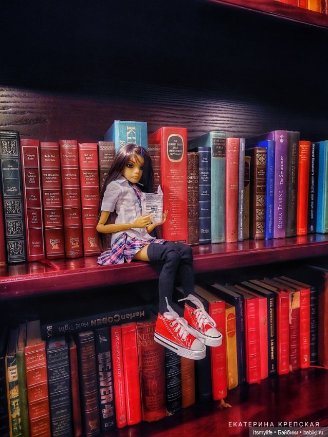 В библиотеке школы Миллвер Оакс (фото 3)