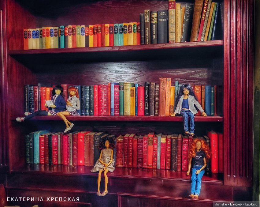 В библиотеке школы Миллвер Оакс (фото 4)