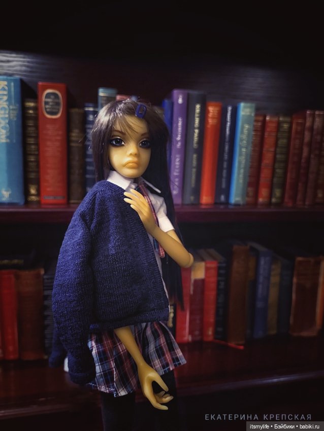 В библиотеке школы Миллвер Оакс (фото 7)