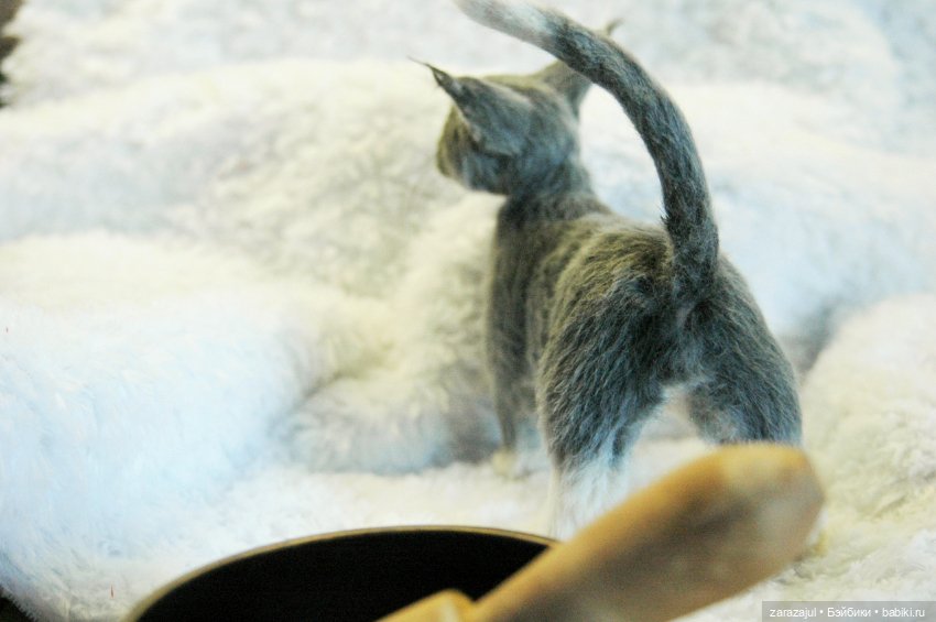 Обещали - показываем безобразие (фото 3)