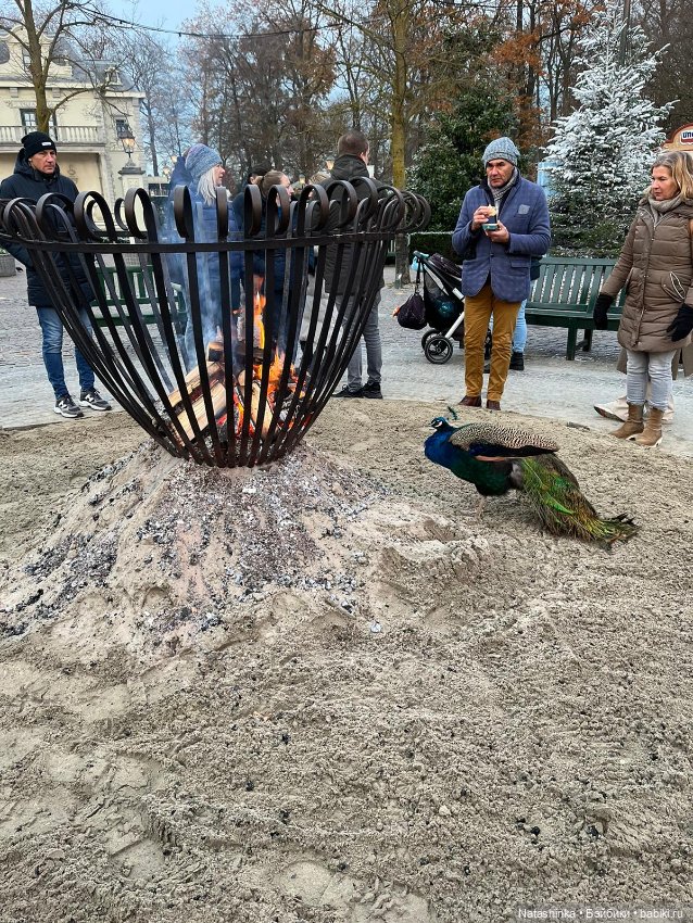 Fashion Dolls 455 — Туризм и путешествия: фотоотчеты из поездок