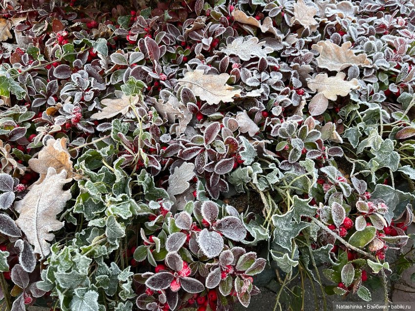 Fashion Dolls 455 — Туризм и путешествия: фотоотчеты из поездок (фото 4)