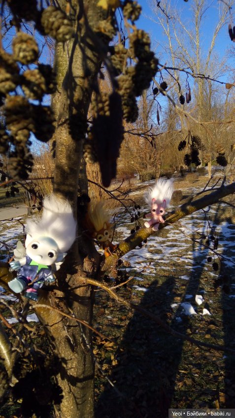 Зельфы в парке, декабрь. The Zelfs (фото 9)