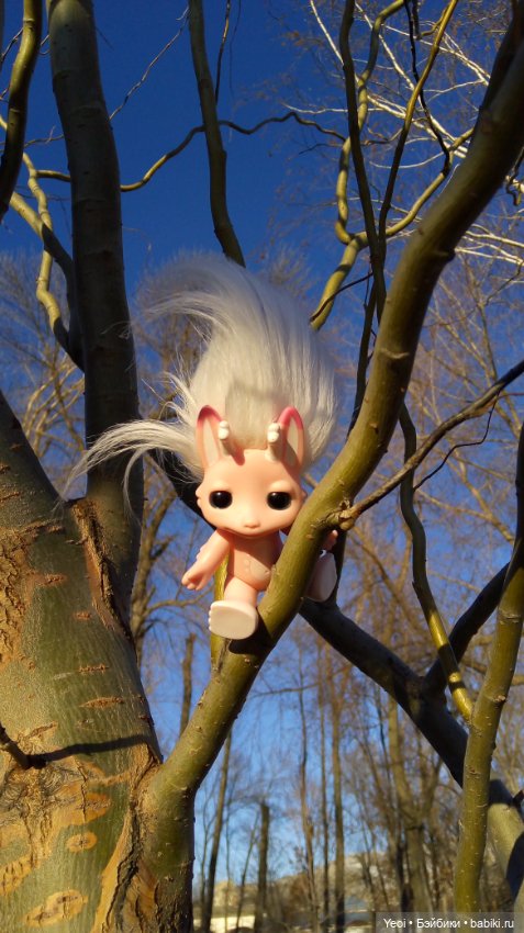 Зельфы в парке, декабрь. The Zelfs