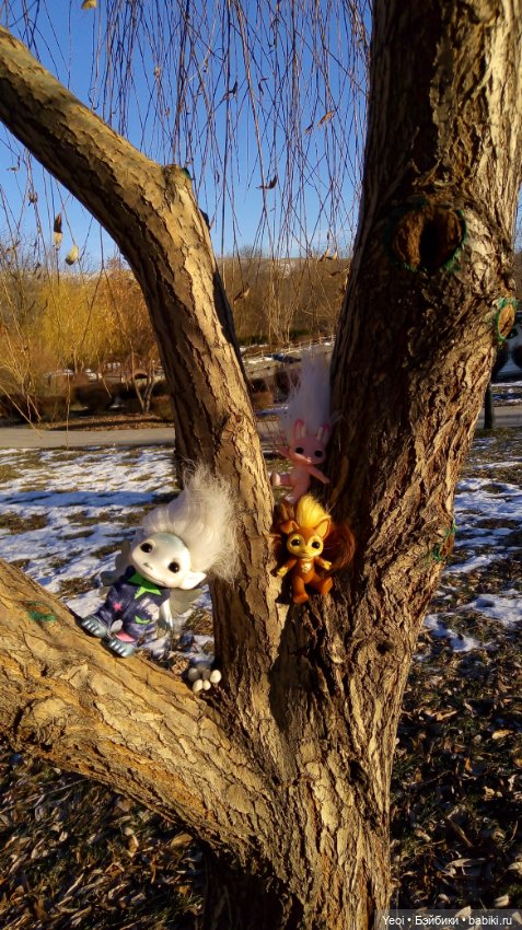 Зельфы в парке, декабрь. The Zelfs