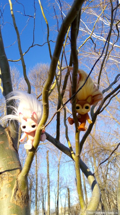 Зельфы в парке, декабрь. The Zelfs