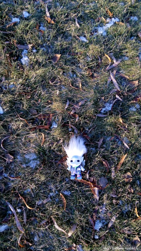 Зельфы в парке, декабрь. The Zelfs