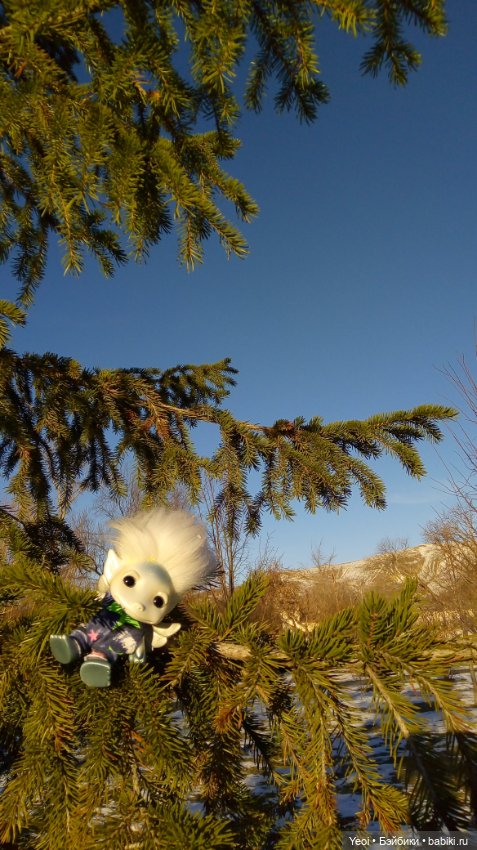 Зельфы в парке, декабрь. The Zelfs