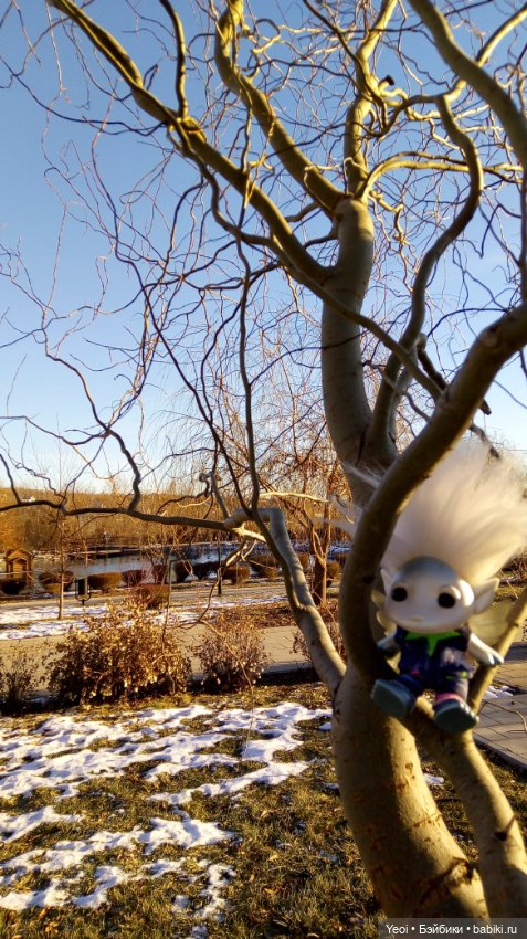 Зельфы в парке, декабрь. The Zelfs