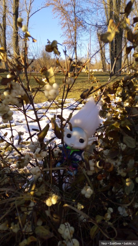 Зельфы в парке, декабрь. The Zelfs