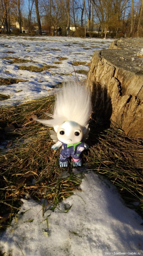 Зельфы в парке, декабрь. The Zelfs (фото 6)