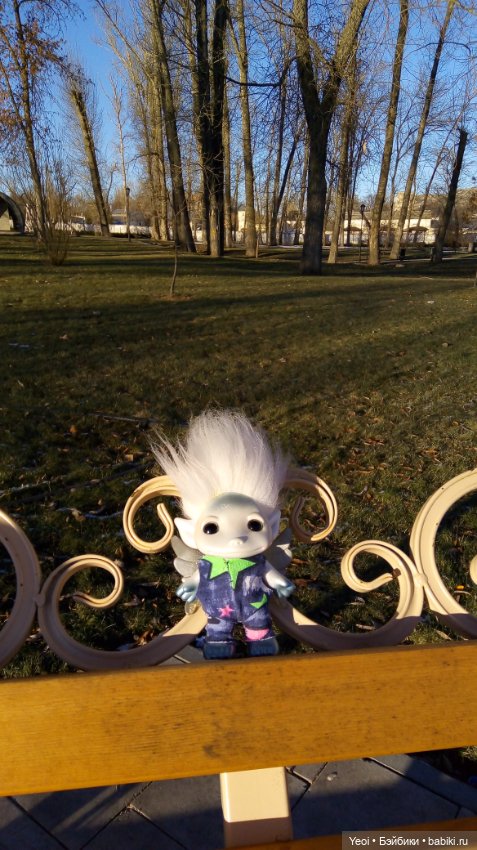 Зельфы в парке, декабрь. The Zelfs