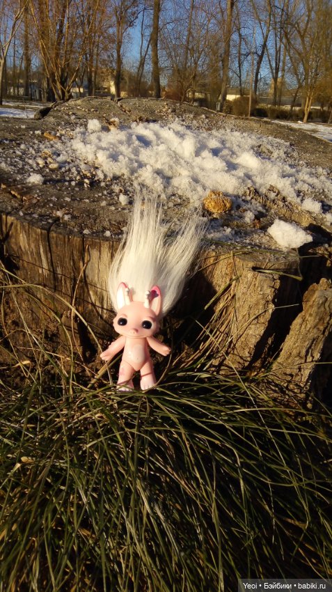 Зельфы в парке, декабрь. The Zelfs (фото 4)