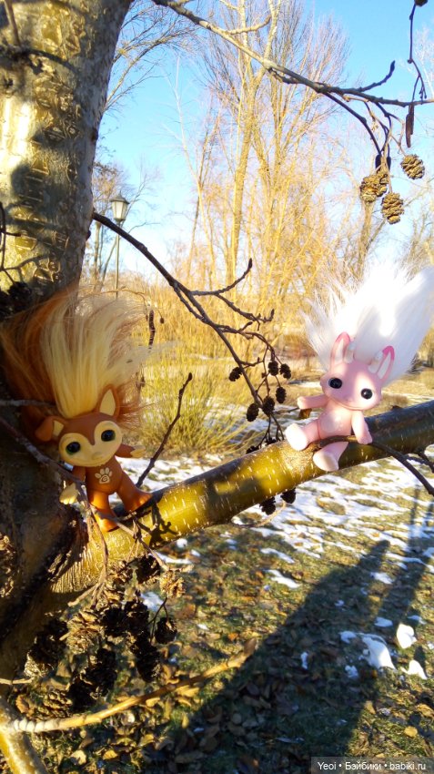 Зельфы в парке, декабрь. The Zelfs (фото 10)