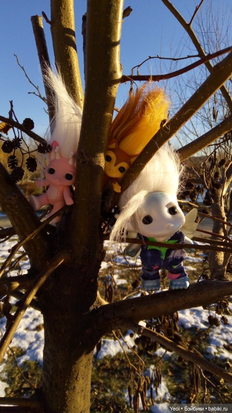 Зельфы в парке, декабрь. The Zelfs