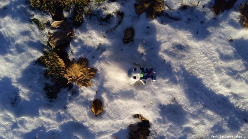 Зельфы в парке, декабрь. The Zelfs