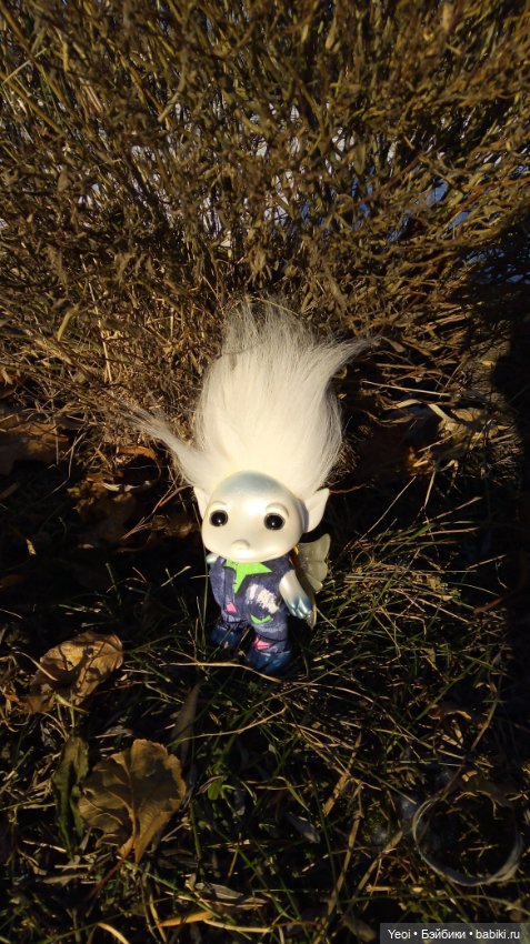 Зельфы в парке, декабрь. The Zelfs (фото 8)