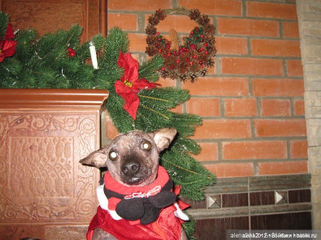 С миру по нитке, голому рубаха. И штанишки. И лапоточки