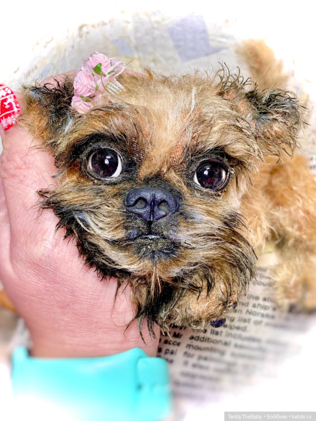 Джолли 🐶 — Реалистичные игрушки и звери (Натюр): собаки