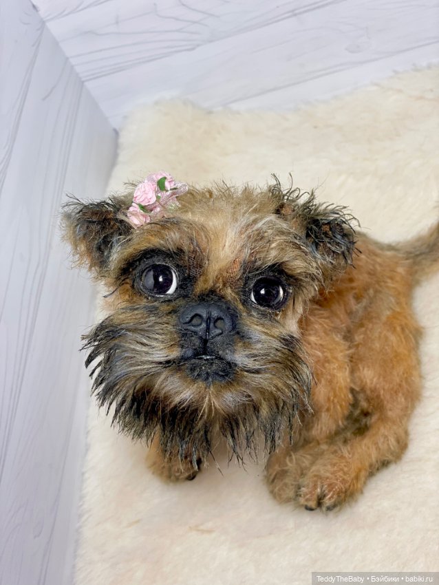Джолли 🐶 — Реалистичные игрушки и звери (Натюр): собаки