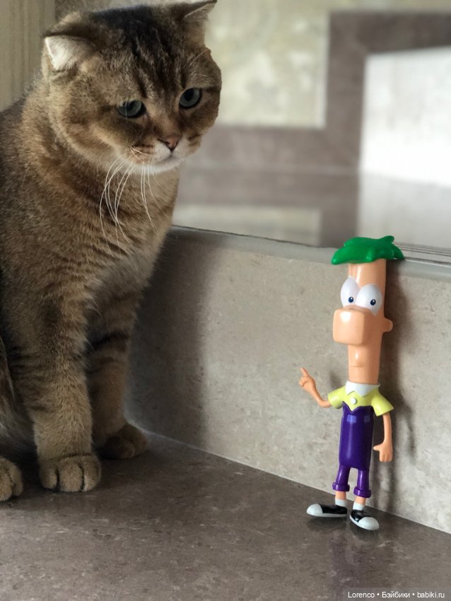 Нравоучения от Ферба — Интересные игрушки и фигурки (разное): редкие (фото 5)