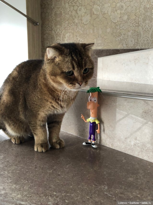 Нравоучения от Ферба — Интересные игрушки и фигурки (разное): редкие (фото 4)