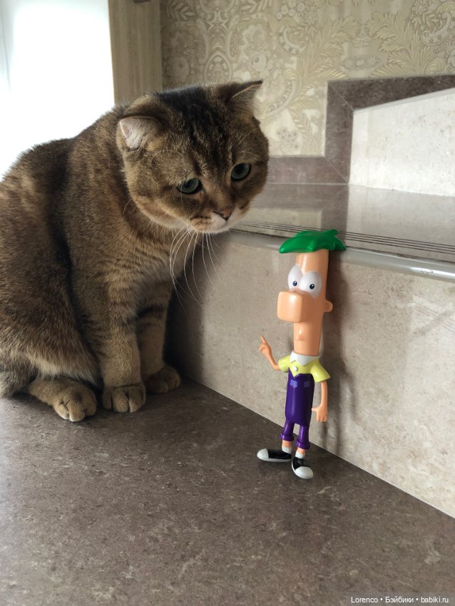 Нравоучения от Ферба — Интересные игрушки и фигурки (разное): редкие (фото 2)