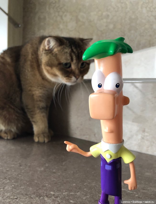 Нравоучения от Ферба — Интересные игрушки и фигурки (разное): редкие