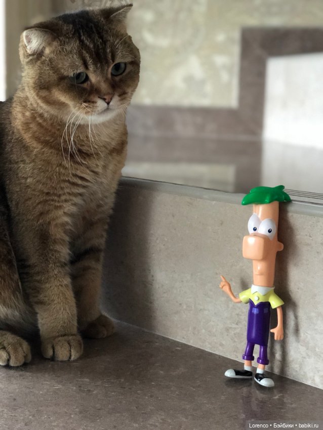 Нравоучения от Ферба — Интересные игрушки и фигурки (разное): редкие (фото 6)