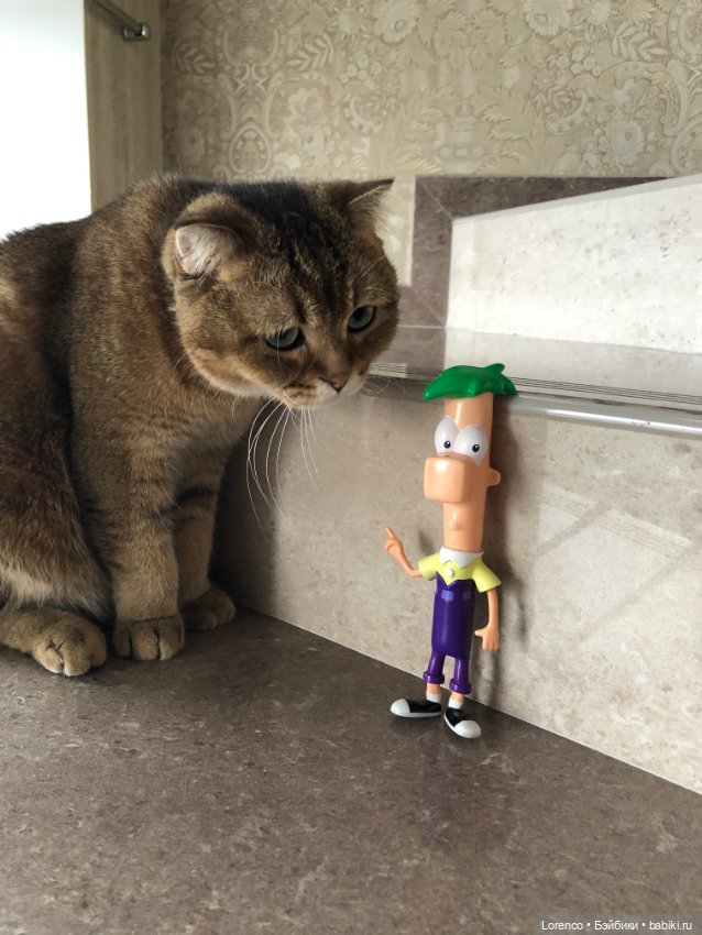 Нравоучения от Ферба — Интересные игрушки и фигурки (разное): редкие (фото 3)