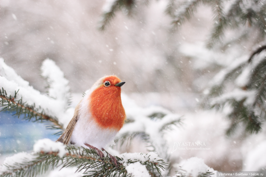 И снова птички — Валяные игрушки из шерсти: сухое валяние (фото 8)