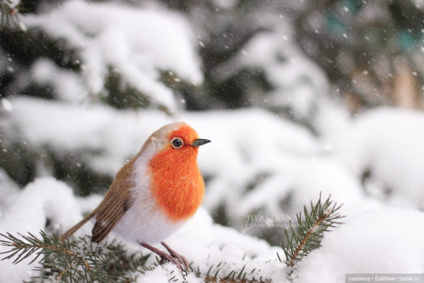 И снова птички — Валяные игрушки из шерсти: сухое валяние