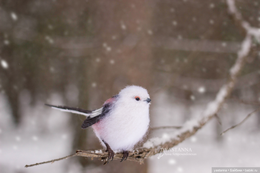 И снова птички — Валяные игрушки из шерсти: сухое валяние