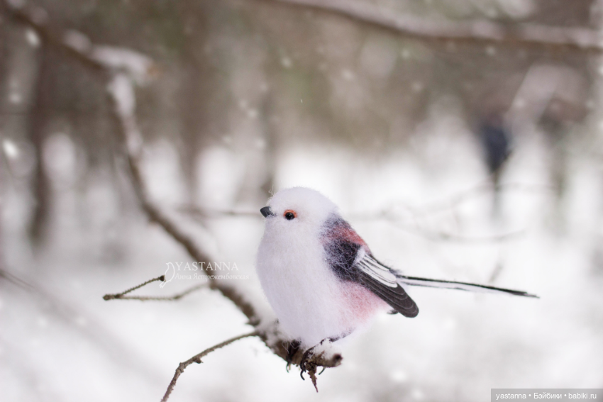 И снова птички — Валяные игрушки из шерсти: сухое валяние