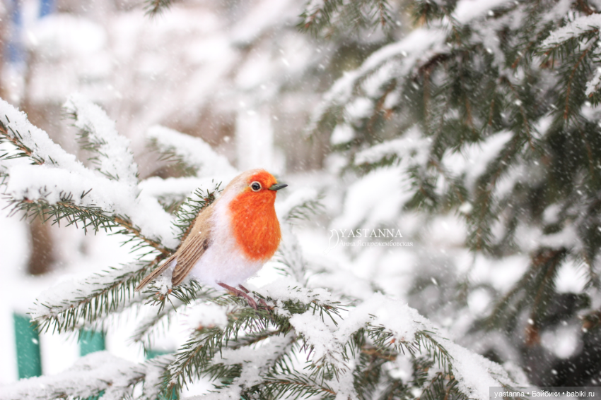 И снова птички — Валяные игрушки из шерсти: сухое валяние (фото 7)
