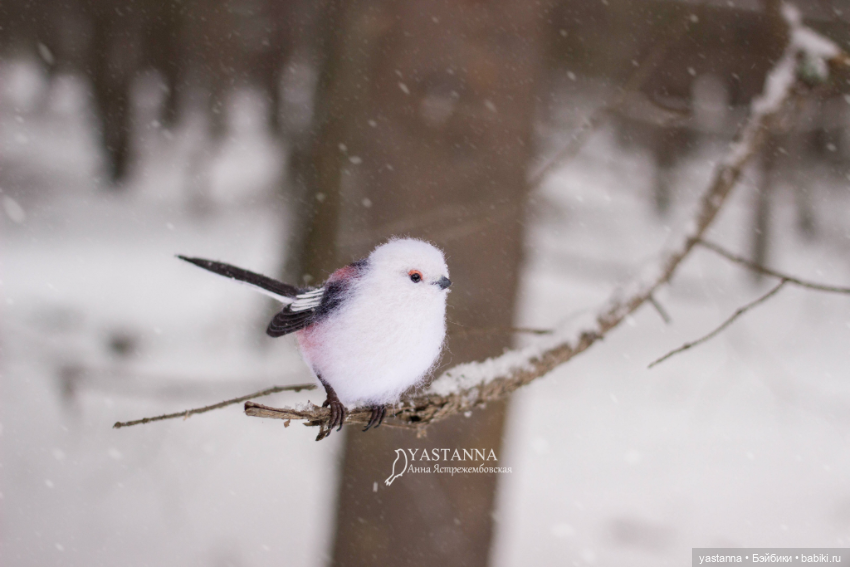 И снова птички — Валяные игрушки из шерсти: сухое валяние