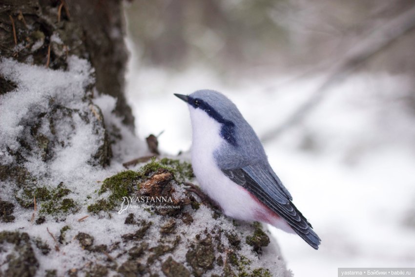 И снова птички — Валяные игрушки из шерсти: сухое валяние