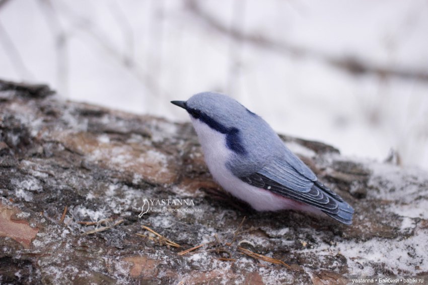 И снова птички — Валяные игрушки из шерсти: сухое валяние