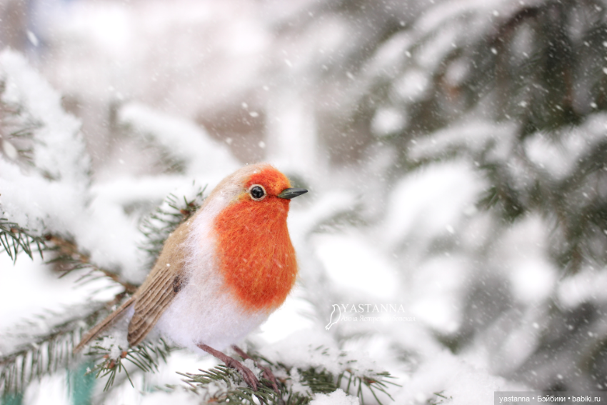 И снова птички — Валяные игрушки из шерсти: сухое валяние (фото 6)