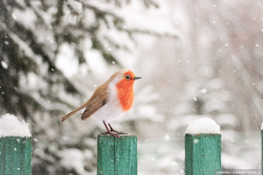 И снова птички — Валяные игрушки из шерсти: сухое валяние (фото 3)