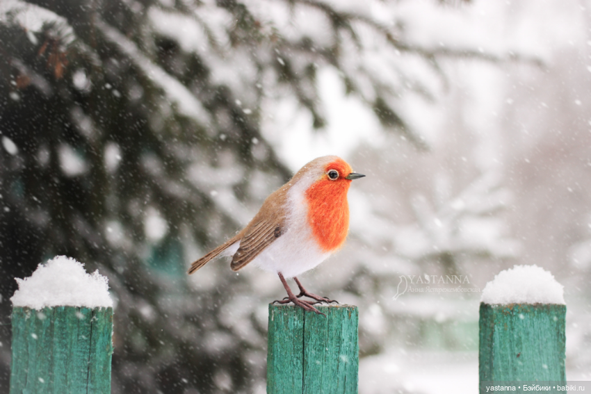 И снова птички — Валяные игрушки из шерсти: сухое валяние (фото 2)