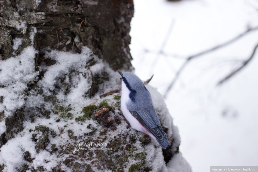 И снова птички — Валяные игрушки из шерсти: сухое валяние