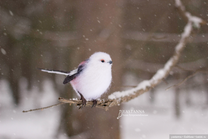 И снова птички — Валяные игрушки из шерсти: сухое валяние