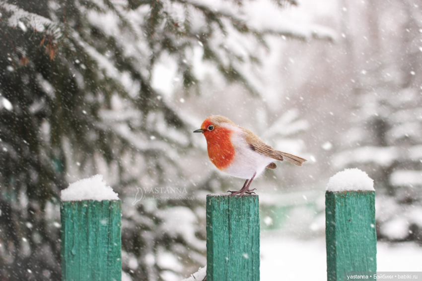 И снова птички — Валяные игрушки из шерсти: сухое валяние (фото 5)