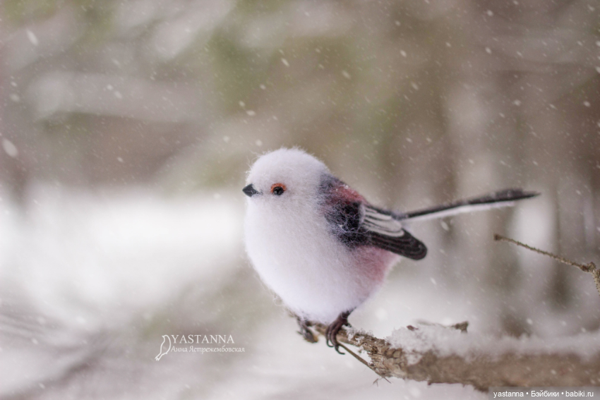И снова птички — Валяные игрушки из шерсти: сухое валяние